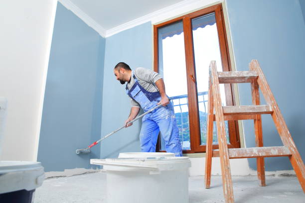 Best Biohazard Mold Removal  in St Ann, MO