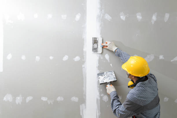 Best Mold Removal for HVAC Installations  in St Ann, MO