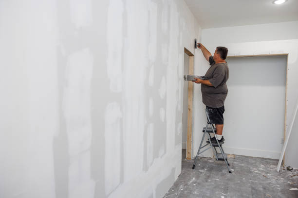 Trusted St Ann, MO Mold Removal Experts