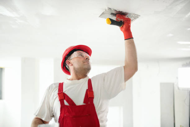 Mold Remediation for Rental Properties in St Ann, MO