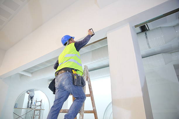 Best Industrial Mold Remediation  in St Ann, MO