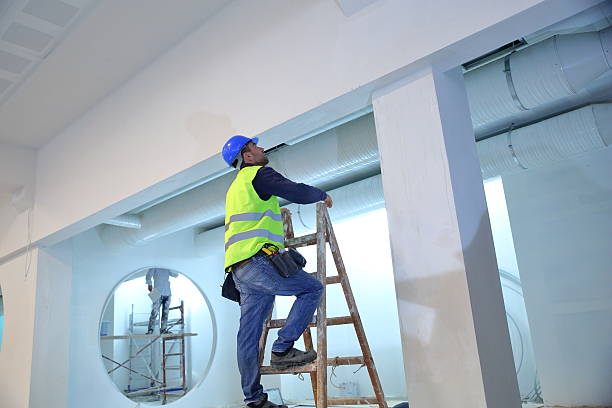 Best Water Damage & Mold Remediation  in St Ann, MO
