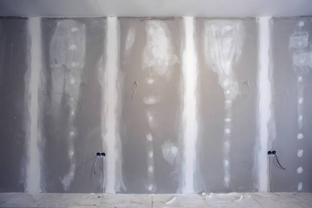 Best Indoor Air Quality Assessment  in St Ann, MO